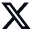 platform-x-twitter-size-xl