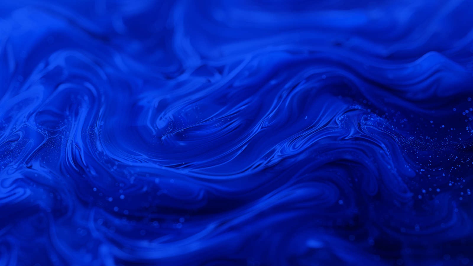 banner1
